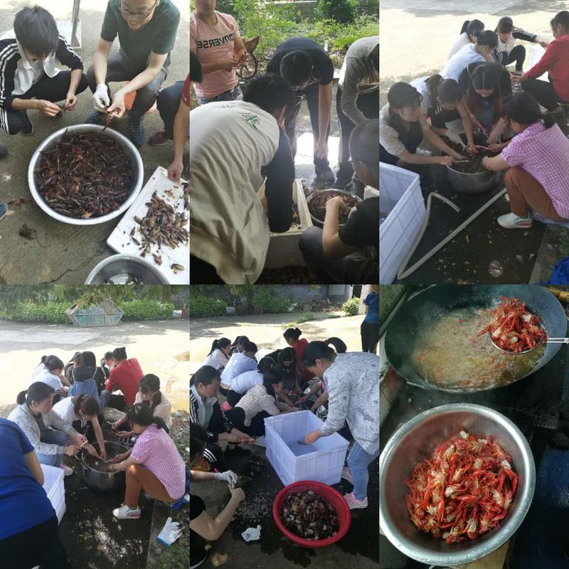 微信图片_20190523133435.jpg